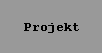 Projekt